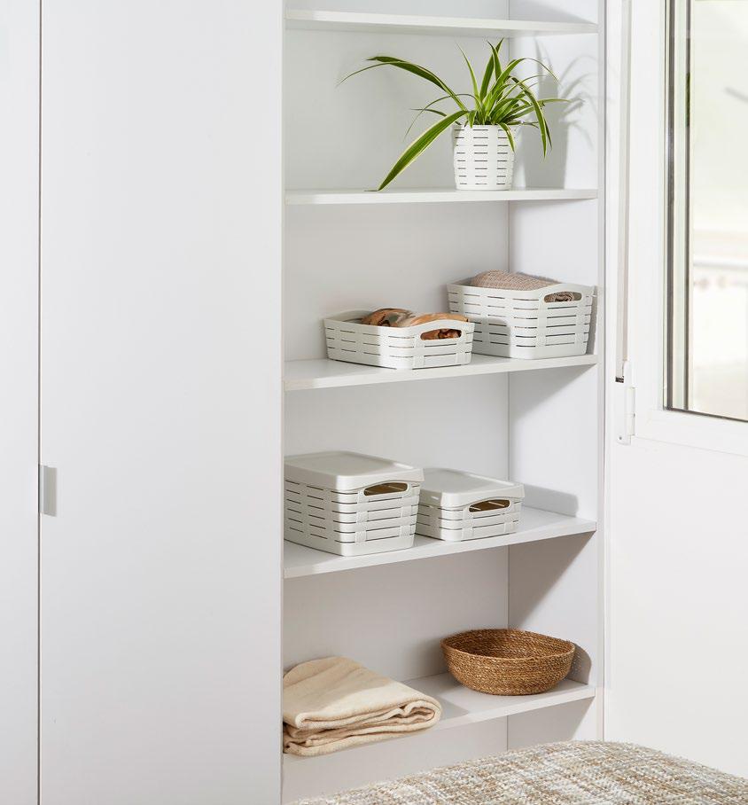 Colección Bamboo - USE FAMILY